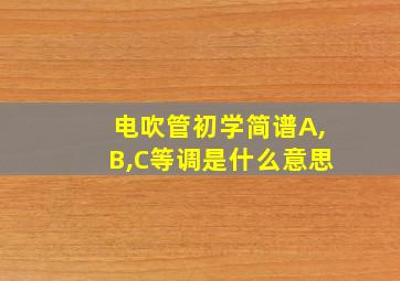 电吹管初学简谱A,B,C等调是什么意思