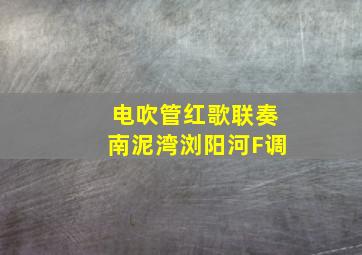 电吹管红歌联奏南泥湾浏阳河F调