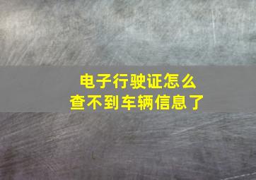 电子行驶证怎么查不到车辆信息了