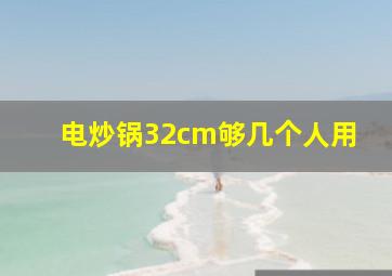 电炒锅32cm够几个人用