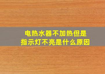 电热水器不加热但是指示灯不亮是什么原因