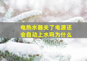 电热水器关了电源还会自动上水吗为什么