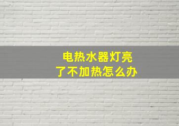 电热水器灯亮了不加热怎么办