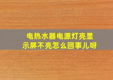 电热水器电源灯亮显示屏不亮怎么回事儿呀