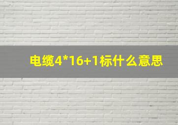 电缆4*16+1标什么意思