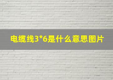 电缆线3*6是什么意思图片