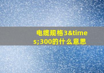 电缆规格3×300的什么意思