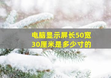 电脑显示屏长50宽30厘米是多少寸的