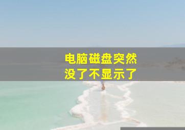 电脑磁盘突然没了不显示了