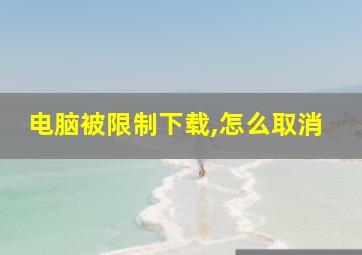 电脑被限制下载,怎么取消