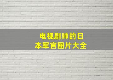 电视剧帅的日本军官图片大全