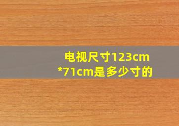 电视尺寸123cm*71cm是多少寸的