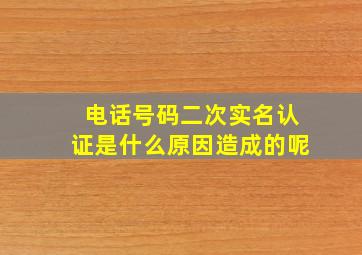 电话号码二次实名认证是什么原因造成的呢