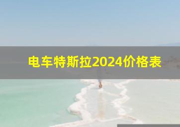 电车特斯拉2024价格表