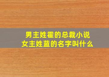 男主姓霍的总裁小说女主姓蓝的名字叫什么