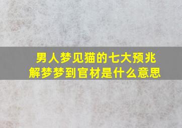 男人梦见猫的七大预兆解梦梦到官材是什么意思