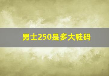 男士250是多大鞋码