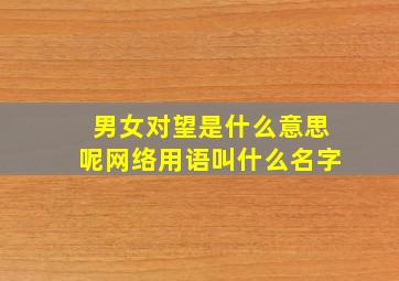 男女对望是什么意思呢网络用语叫什么名字