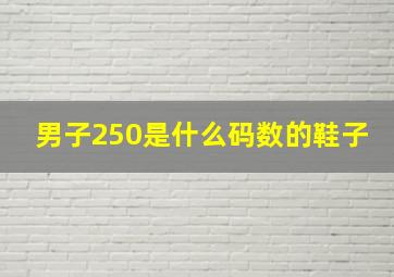 男子250是什么码数的鞋子