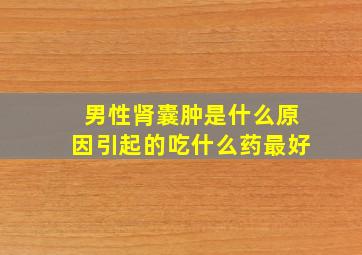 男性肾囊肿是什么原因引起的吃什么药最好