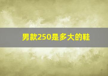 男款250是多大的鞋