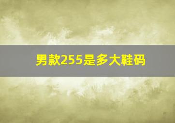 男款255是多大鞋码