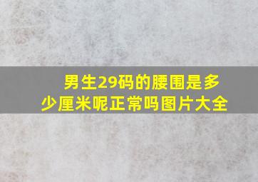 男生29码的腰围是多少厘米呢正常吗图片大全