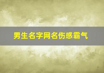 男生名字网名伤感霸气