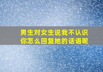 男生对女生说我不认识你怎么回复她的话语呢