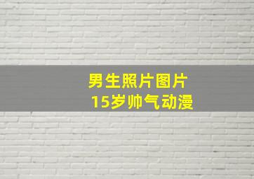 男生照片图片15岁帅气动漫