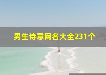 男生诗意网名大全231个