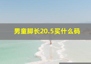 男童脚长20.5买什么码