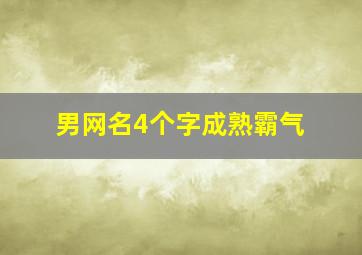 男网名4个字成熟霸气