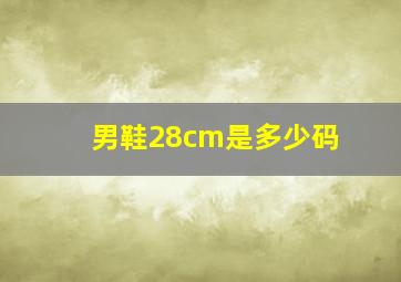 男鞋28cm是多少码