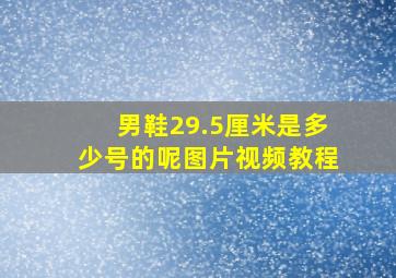 男鞋29.5厘米是多少号的呢图片视频教程