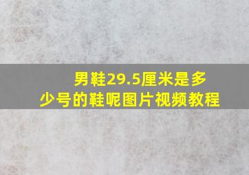 男鞋29.5厘米是多少号的鞋呢图片视频教程