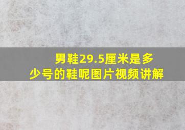 男鞋29.5厘米是多少号的鞋呢图片视频讲解