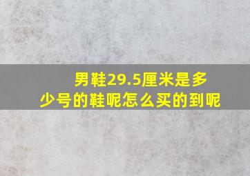 男鞋29.5厘米是多少号的鞋呢怎么买的到呢