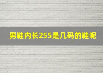 男鞋内长255是几码的鞋呢