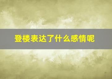 登楼表达了什么感情呢