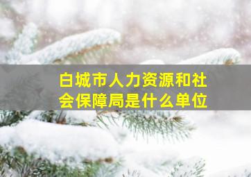 白城市人力资源和社会保障局是什么单位