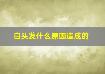 白头发什么原因造成的