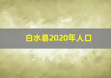 白水县2020年人口