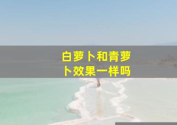 白萝卜和青萝卜效果一样吗