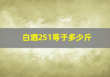 白酒251等于多少斤