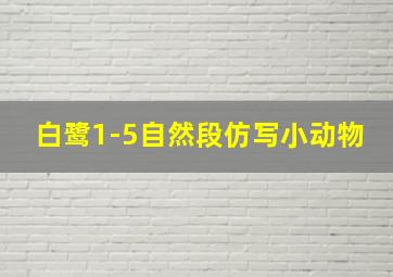 白鹭1-5自然段仿写小动物