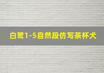 白鹭1-5自然段仿写茶杯犬