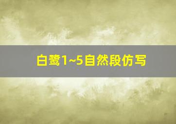 白鹭1~5自然段仿写