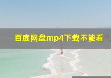 百度网盘mp4下载不能看