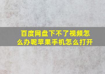 百度网盘下不了视频怎么办呢苹果手机怎么打开